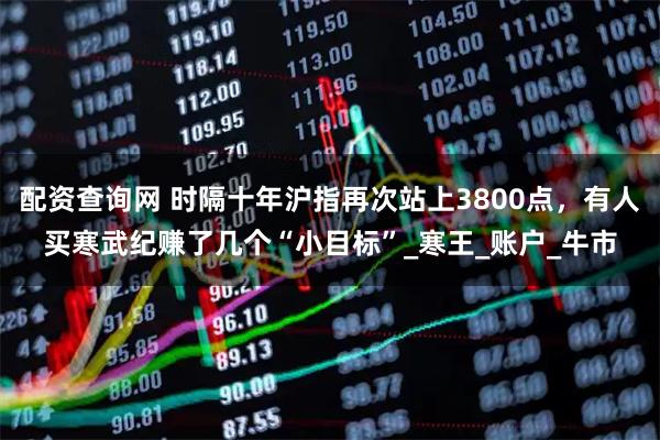 配资查询网 时隔十年沪指再次站上3800点,有人买寒武纪赚了几个“小目标”_寒王_账户_牛市