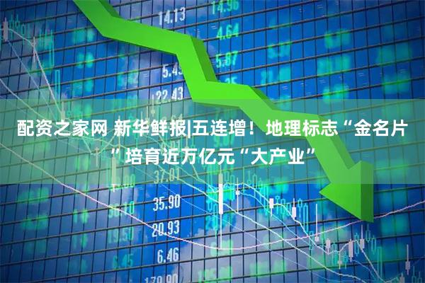 配资之家网 新华鲜报|五连增！地理标志“金名片”培育近万亿元“大产业”